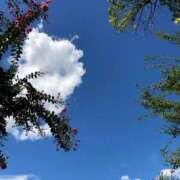 ヒメ日記 2026/02/25 01:00 投稿 藤宮わかば フェティッシュエステ Lust Mirage