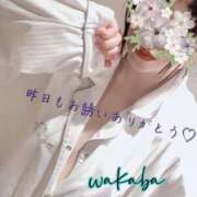 ヒメ日記 2026/04/02 16:45 投稿 藤宮わかば フェティッシュエステ Lust Mirage