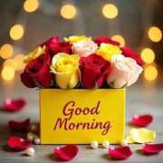 ヒメ日記 2025/11/12 09:34 投稿 紅林 熟女の風俗最終章 横浜本店