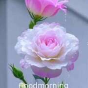 紅林 おはようございます💕 熟女の風俗最終章 横浜本店