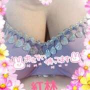 ヒメ日記 2025/12/11 11:24 投稿 紅林 熟女の風俗最終章 横浜本店