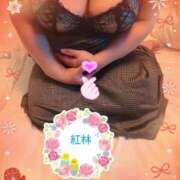 ヒメ日記 2025/12/16 11:44 投稿 紅林 熟女の風俗最終章 横浜本店