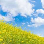 ヒメ日記 2026/04/09 17:06 投稿 紅林 熟女の風俗最終章 横浜本店