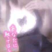 ヒメ日記 2025/10/10 08:56 投稿 花木 しずか 夜這い専門 発情する奥様たち梅田店