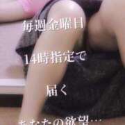 ヒメ日記 2025/10/24 14:06 投稿 花木 しずか 夜這い専門 発情する奥様たち梅田店
