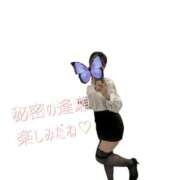 ヒメ日記 2025/11/07 17:56 投稿 花木 しずか 夜這い専門 発情する奥様たち梅田店