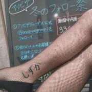 ヒメ日記 2025/11/14 11:16 投稿 花木 しずか 夜這い専門 発情する奥様たち梅田店