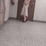 ヒメ日記 2025/11/17 09:46 投稿 花木 しずか 夜這い専門 発情する奥様たち梅田店