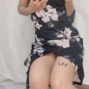 ヒメ日記 2025/11/27 07:56 投稿 花木 しずか 夜這い専門 発情する奥様たち梅田店