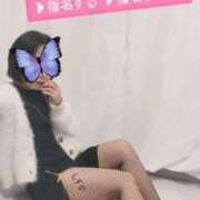 ヒメ日記 2025/11/29 17:16 投稿 花木 しずか 夜這い専門 発情する奥様たち梅田店