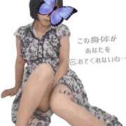 ヒメ日記 2025/11/29 20:36 投稿 花木 しずか 夜這い専門 発情する奥様たち梅田店