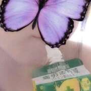 ヒメ日記 2025/12/06 18:56 投稿 花木 しずか 夜這い専門 発情する奥様たち梅田店