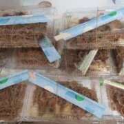 ヒメ日記 2025/12/19 15:36 投稿 花木 しずか 夜這い専門 発情する奥様たち梅田店