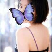 ヒメ日記 2026/01/12 09:36 投稿 花木 しずか 夜這い専門 発情する奥様たち梅田店