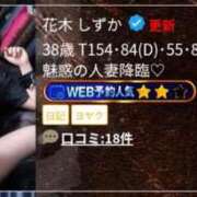 ヒメ日記 2026/04/14 17:46 投稿 花木 しずか 夜這い専門 発情する奥様たち梅田店