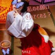 ヒメ日記 2026/06/09 12:11 投稿 花木 しずか 夜這い専門 発情する奥様たち梅田店