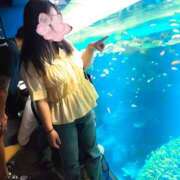 ヒメ日記 2025/09/11 21:30 投稿 ゆうひ 奈良市ちゃんこ