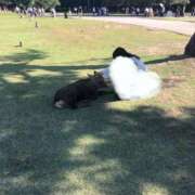 ヒメ日記 2025/09/27 06:10 投稿 ゆうひ 奈良市ちゃんこ