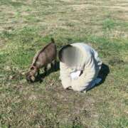 ヒメ日記 2025/09/28 07:07 投稿 ゆうひ 奈良市ちゃんこ