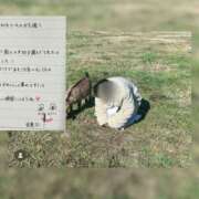 ヒメ日記 2025/10/03 20:44 投稿 ゆうひ 奈良市ちゃんこ