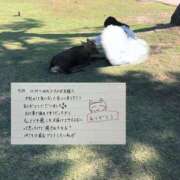 ヒメ日記 2025/10/04 17:29 投稿 ゆうひ 奈良市ちゃんこ