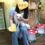 ヒメ日記 2025/10/06 07:24 投稿 ゆうひ 奈良市ちゃんこ