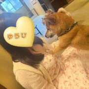 ヒメ日記 2025/10/19 07:46 投稿 ゆうひ 奈良市ちゃんこ