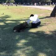 ヒメ日記 2025/11/14 15:10 投稿 ゆうひ 奈良市ちゃんこ