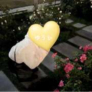 ヒメ日記 2025/11/18 10:42 投稿 ゆうひ 奈良市ちゃんこ