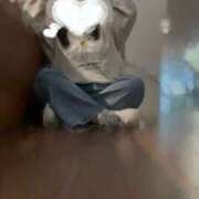 ヒメ日記 2025/11/27 12:51 投稿 ゆうひ 奈良市ちゃんこ