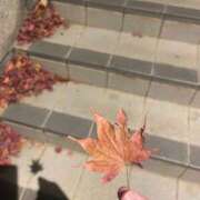 ヒメ日記 2025/12/11 19:21 投稿 ゆうひ 奈良市ちゃんこ