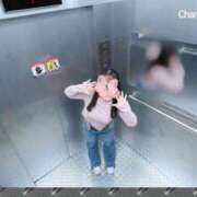 ヒメ日記 2025/12/23 17:32 投稿 ゆうひ 奈良市ちゃんこ