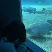 ヒメ日記 2026/01/11 19:53 投稿 ゆうひ 奈良市ちゃんこ