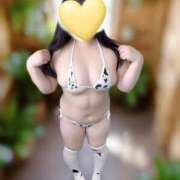 ヒメ日記 2026/02/05 11:24 投稿 ゆうひ 奈良市ちゃんこ