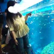 ヒメ日記 2026/02/14 19:51 投稿 ゆうひ 奈良市ちゃんこ