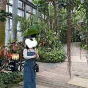 ヒメ日記 2026/03/04 11:43 投稿 ゆうひ 奈良市ちゃんこ