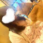 ヒメ日記 2026/03/14 17:04 投稿 ゆうひ 奈良市ちゃんこ