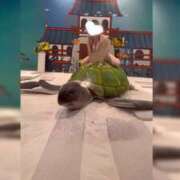 ヒメ日記 2026/03/15 12:11 投稿 ゆうひ 奈良市ちゃんこ