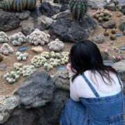 ヒメ日記 2026/03/19 20:12 投稿 ゆうひ 奈良市ちゃんこ