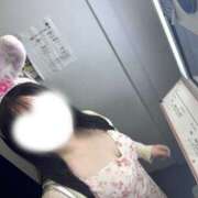 ヒメ日記 2026/03/29 20:44 投稿 ゆうひ 奈良市ちゃんこ