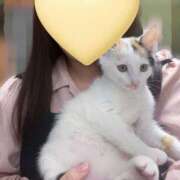 ヒメ日記 2026/04/15 06:41 投稿 ゆうひ 奈良市ちゃんこ