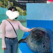 ヒメ日記 2026/07/14 07:24 投稿 ゆうひ 奈良市ちゃんこ