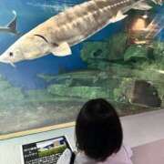 ヒメ日記 2026/09/03 19:27 投稿 ゆうひ 奈良市ちゃんこ