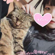 ヒメ日記 2025/09/12 16:08 投稿 かな【甘くて敏感な小動物系】 なすがママされるがママ 宇都宮