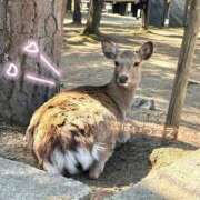 ヒメ日記 2025/09/05 19:52 投稿 恋白【コハク】 ピンクコレクション大阪