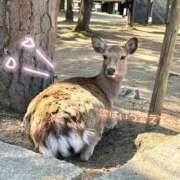 ヒメ日記 2025/09/05 19:50 投稿 恋白【コハク】 ピンクコレクション大阪キタ店