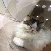 ヒメ日記 2025/09/13 14:39 投稿 恋白【コハク】 ピンクコレクション大阪キタ店