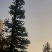 ヒメ日記 2025/11/23 19:49 投稿 恋白【コハク】 ピンクコレクション大阪キタ店