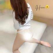 ヒメ日記 2025/11/14 16:44 投稿 ひな 9/4体験入店!!! Office Love　町田店（Loveグループ）