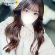 ヒメ日記 2025/12/13 18:16 投稿 ひな 9/4体験入店!!! Office Love　町田店（Loveグループ）